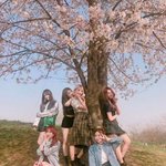 [<b>조</b>녜보스] 다이쁘고 개념 장착한 프리스틴
