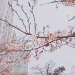 [사이다] 옆반남자애아래학년여자애랑사귄다고<b>허언</b>했다가개털림
