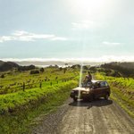 8000km를 운전하며 여행한 뉴질랜드