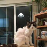 거울보면 <b>멱살</b>잡을 쥔님의 코디