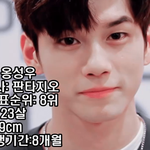 프로듀스101 비주얼 <b>상위</b>권 11명?