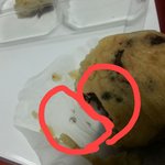 [EXO] <b>곰팡</b>이 맞냐