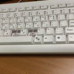 [유머] 나 차 뽑았다