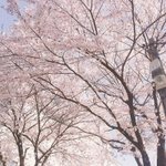 +너희 학교 몇 시에 가서 몇 시에 <b>도착</b>해?