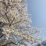 [조언부탁해] 인간관게ㅠㅠㅠㅠㅠ