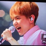 [댓글부탁해] 본진 귀여운짤 던져주고가