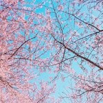 [EXO] ㅈㄴ이쁘지않냐