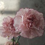 [핸드메이드] 핸드메이드플라워로 봄 인테리어소품만들기