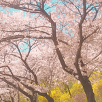 [제<b>발위</b>로좀] 너무 힘들다
