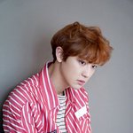 [EXO] 니네가 좋아하는 집마 <b>보정법</b>은 뭐임?