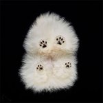 밑에서 보면 더 <b>치명적</b>인 멍뭉이