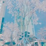 <b>여자</b> 전학생오면 <b>반응</b> 어때??