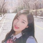 [댓글부탁해] 이번에 데뷔하는 신인걸그룹 소녀주의보