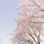 [댓글부탁해] 나 유딩때 담배 <b>필터</b>빨아봄