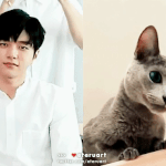 [인피니트] 이거 <b>씽크</b>로율이 ㅋㅋ