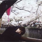[NCT] 오사카 벚꽃 <b>태용</b> 기대해본다ㅠㅠ