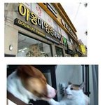 [드루와] 쌍수하려는 애들아