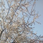 [댓글부탁해] 이 <b>사진</b> <b>보정</b> 좀 해주라