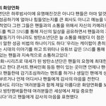 [방탄소년단] 팬들과의 화양연화