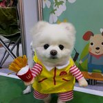 [드루와] 어떤애가 반에서 생리대갈음;;;