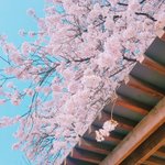 [조언부탁해] 저처럼 감수성 지나치게 풍부한 사람 있나요?