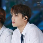 [카이] <b>젤리</b>같은 보송보송함