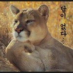 아.. 나 이새<b>키들</b>...