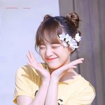 벚꽃을 닮은 女아이돌 <b>청순미</b>