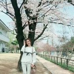 11일자 <b>진세연</b> 얼굴 근황 ㄷㄷ