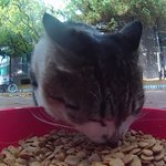 [방탄소년단] 가족이라는게