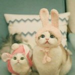 트럼프 전나 멋짐 ㄷㄷ
