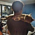 인문계 고1 <b>첫시험</b> 망치면 수시 포기각이야?