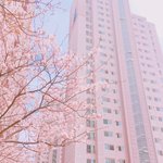 [드루와] <b>생리</b> 꿀팁 알려줌