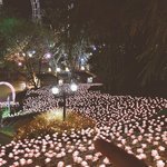 [드루와] 추)추가))디스코팡팡 몰카 조심하세요ㅠㅠ