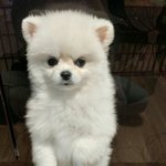 집에서 <b>미용</b>했어요