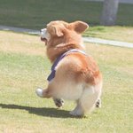 [조언부탁해] <b>우산</b> 안씌워준게 잘못이야..?