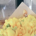 [시우민] 시우민이랑 딱 어울리는 꽃 발견!!(짹펌)