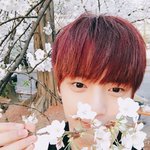 [댓글부탁해] <b>눈병</b>안대 어디서팔오ㅠ?