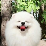 [댓글부탁해] +)너네 막 그런단어아냐