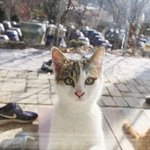 [댓글부탁해] 오늘 번호따였는데요..ㅜ