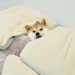 [EXO] 쎈척하네 루줌 ㅋㅋㅋ