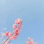 지니 스밍권 받아가