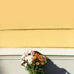 고양이의<b>보은</b>