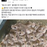 요즘 페북 왜 이 모양임;;