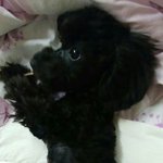 [EXO] <b>개껌</b>냠