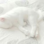 [댓글부탁해] <b>도서관</b> 가는데 이렇게 입어도 <b>안</b>이상해??