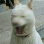 아ㅈ같다 ㅆㅣ발