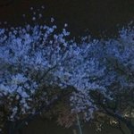 <b>인강</b> 추천 좀 ㅠㅠ