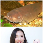 [EXO] ㄴ ㅏ연 ㅁ ㅔ기 같은 <b>종족</b>