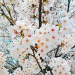 나 좋아하던 애 왜 정 떨어졌는지 알 거 같다